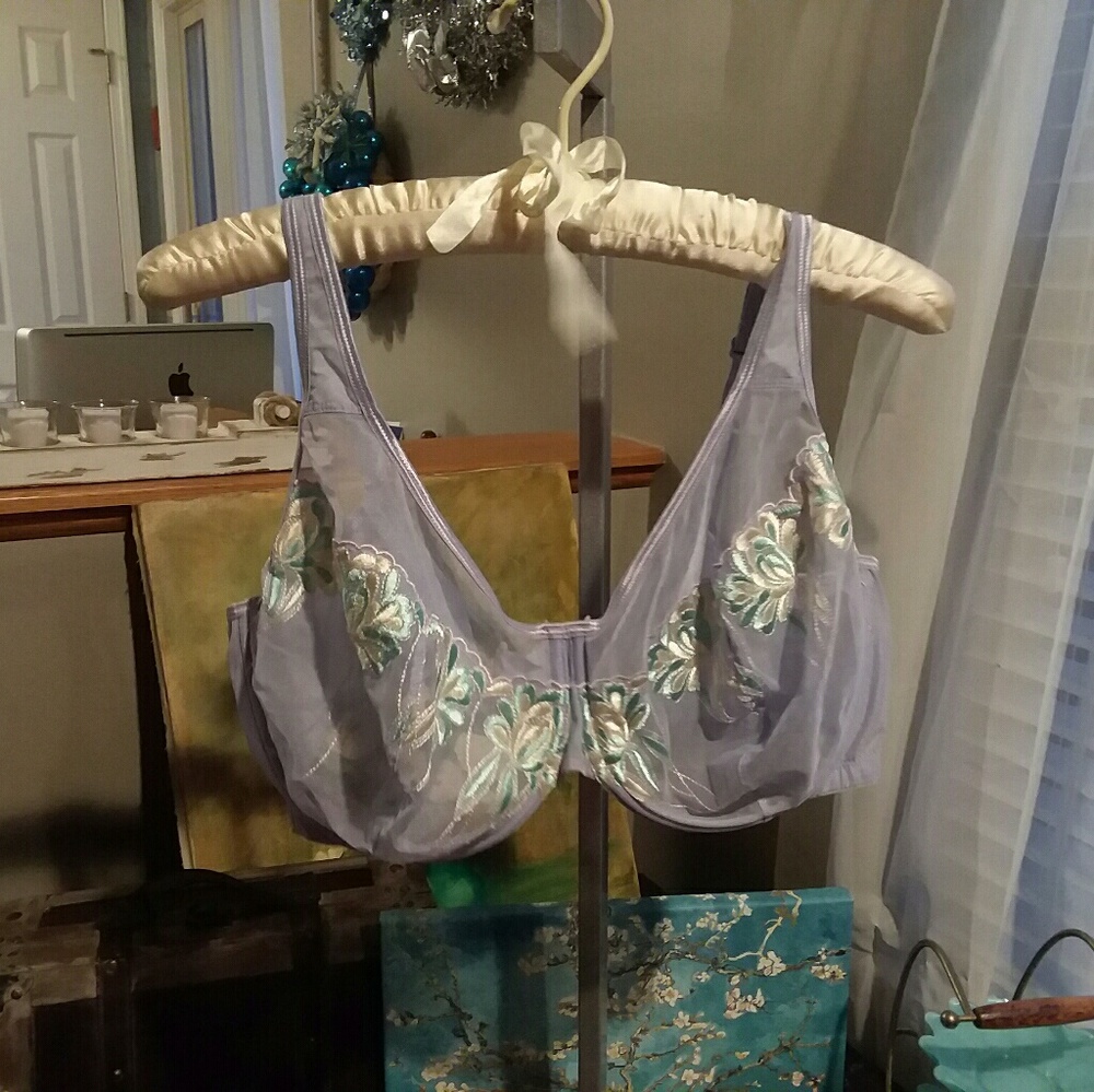 Lavender sheer bra with embroidery